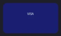 Visa信用卡支付图标